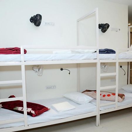 The Charlie'S Hostel ニューデリー エクステリア 写真