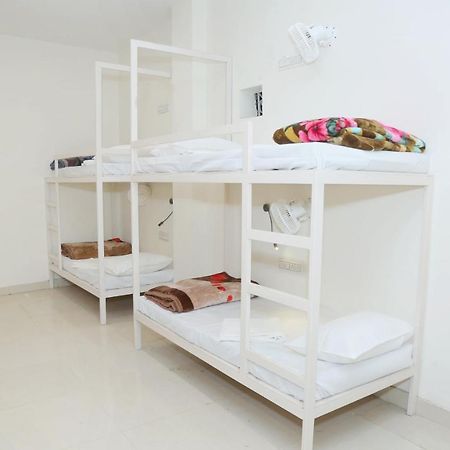 The Charlie'S Hostel ニューデリー エクステリア 写真