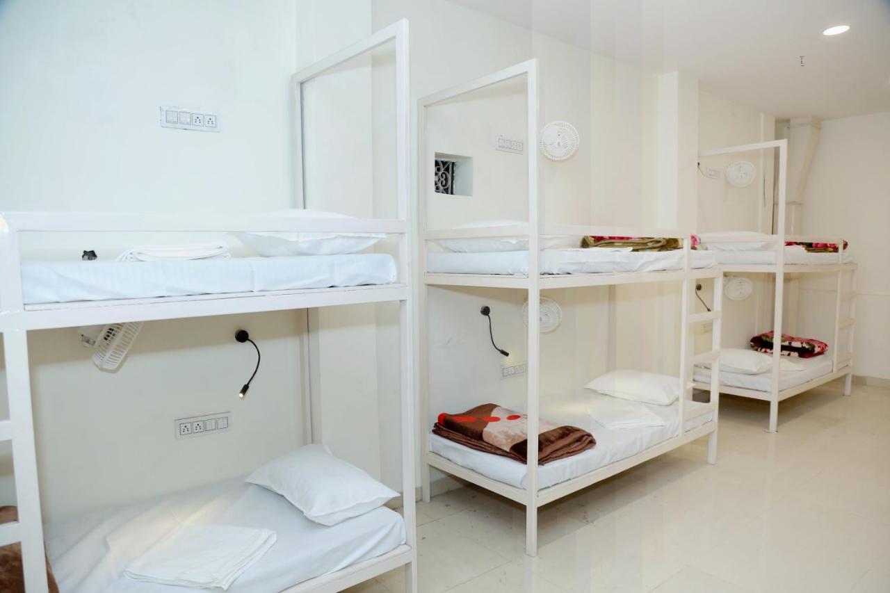 The Charlie'S Hostel ニューデリー エクステリア 写真