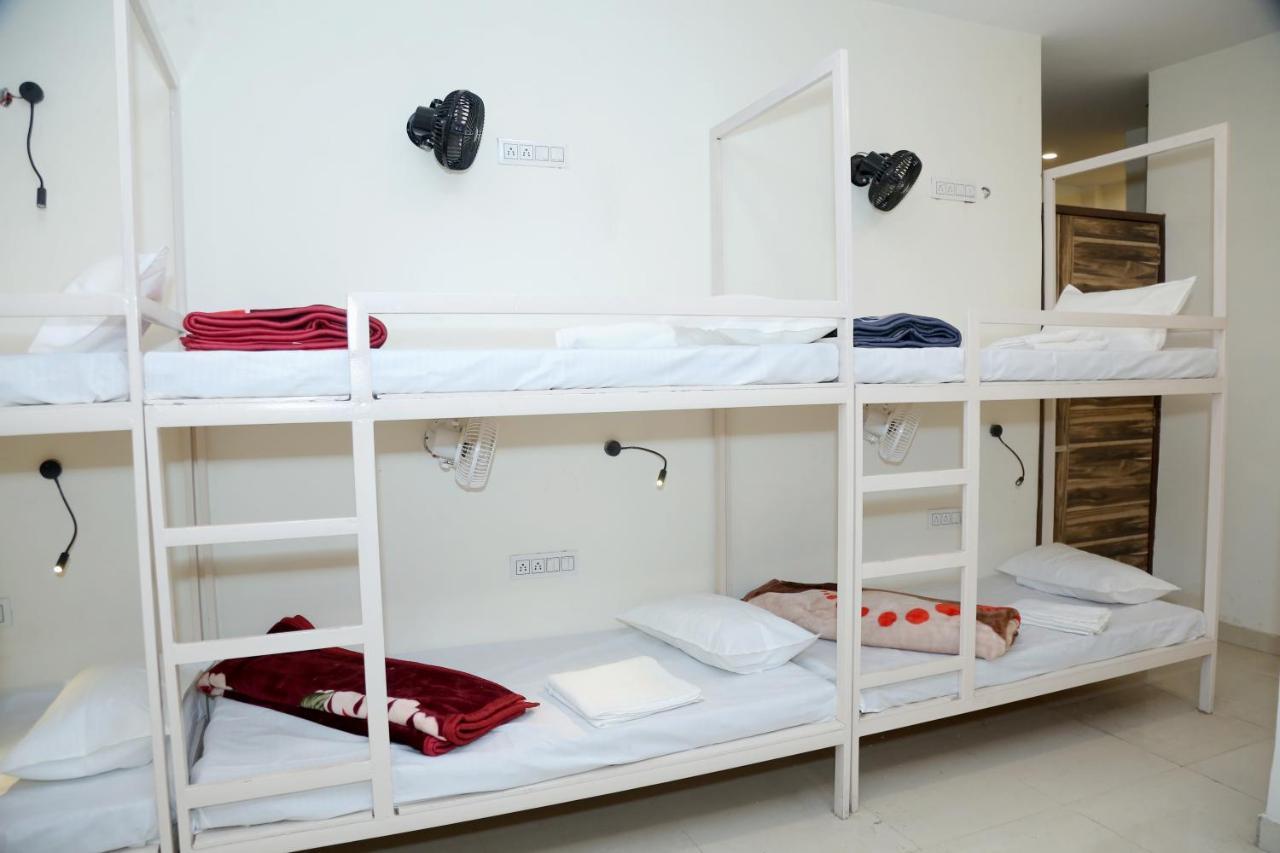 The Charlie'S Hostel ニューデリー エクステリア 写真